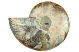 Cut & Polished Ammonite Fossil (Half) - Madagascar #187364-1